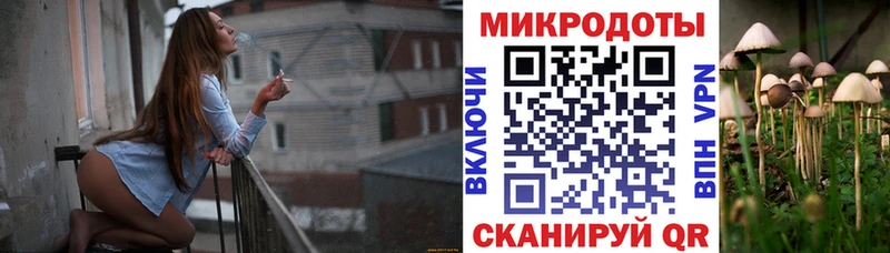Купить  Вихоревка  Галлюциногенные грибы мухоморы 